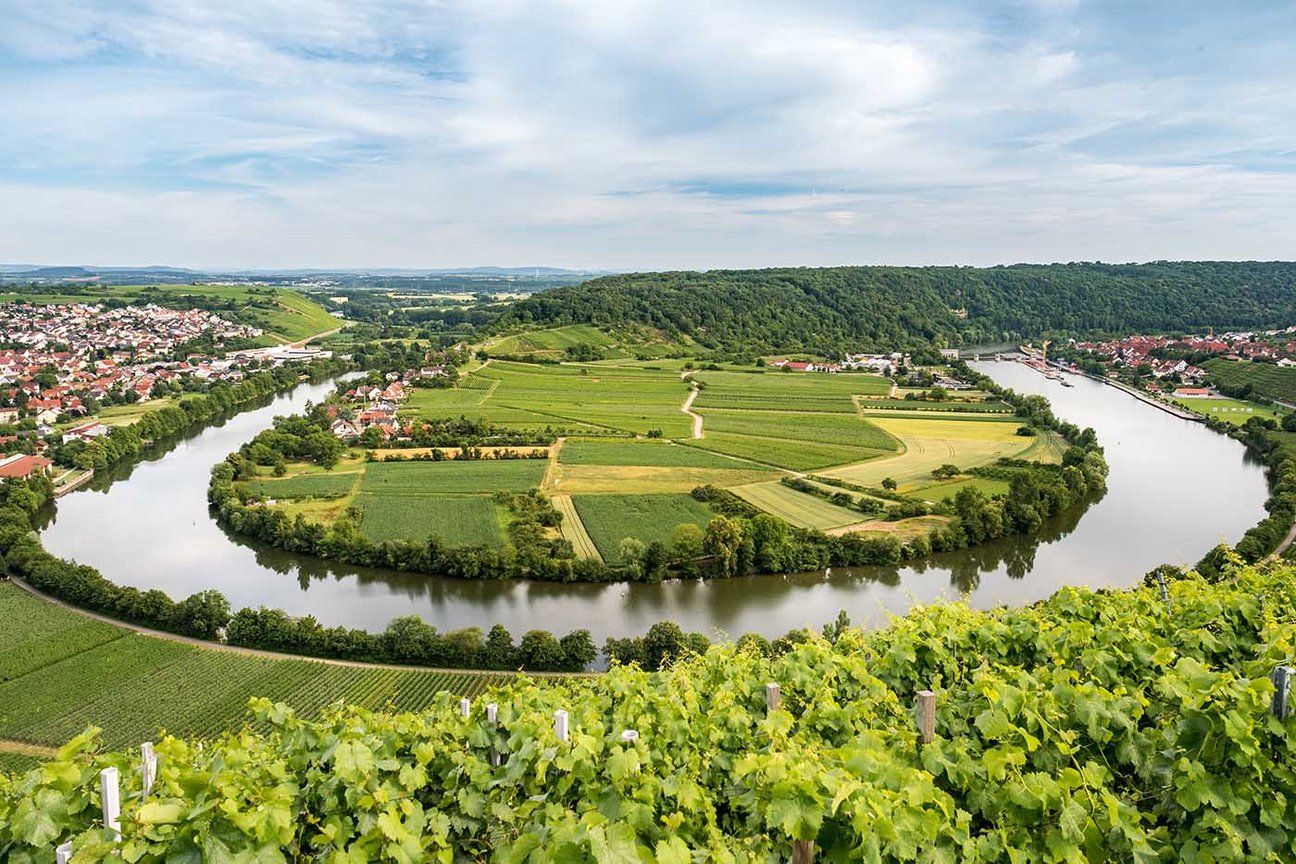 Interner Link zu Lagerraum mieten in Mundelsheim Interner Link zu Lagerraum mieten in Mundelsheim